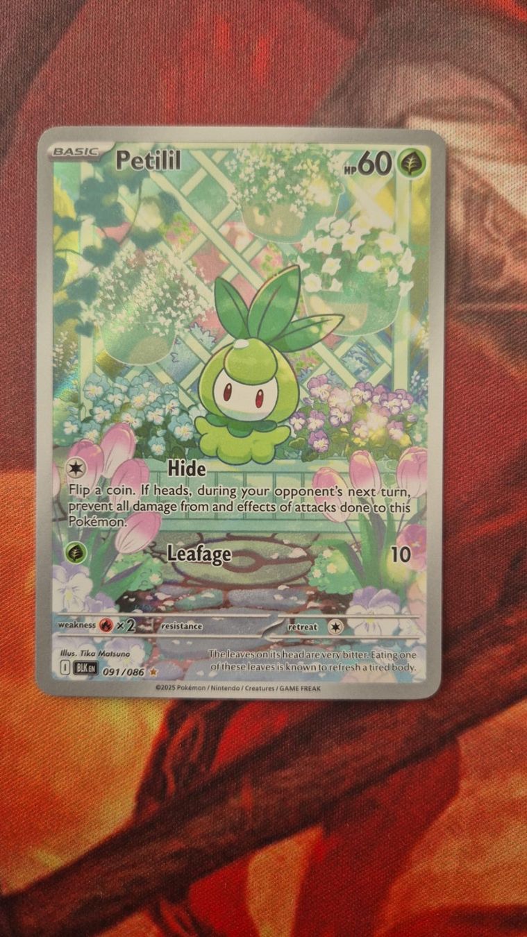 Pokémon Carte collezionabili: Petilil #91 IR – Nuovo (secondo la descrizione) da Hünenberg See venduto da jos_d7d8